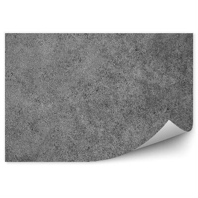 Fototapeta samoprzylepna Polerowany szary beton