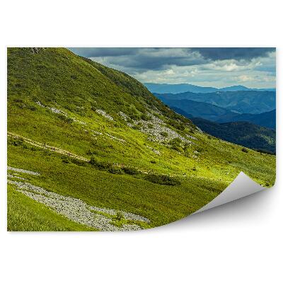 Okleina na ścianę Zielone góry bieszczady pochmurne niebo
