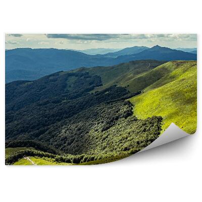 Okleina na ścianę Lasy drzewa góry zieleń natura