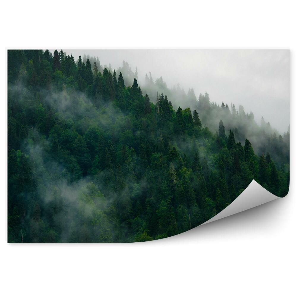 Okleina na ścianę Góry las mgła