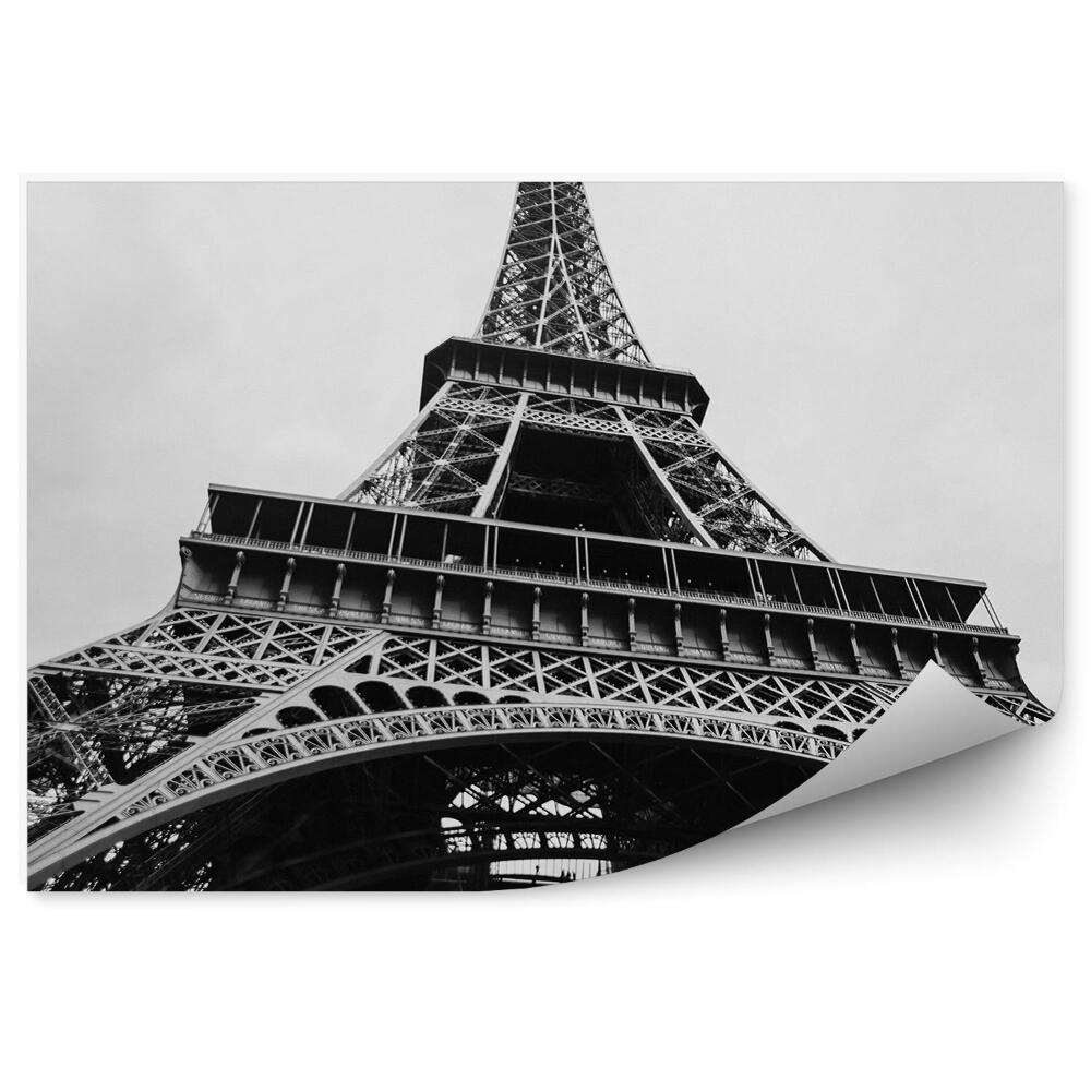 Fototapeta samoprzylepna Czarno-białe zbliżenie wieży eiffla pochmurne niebo