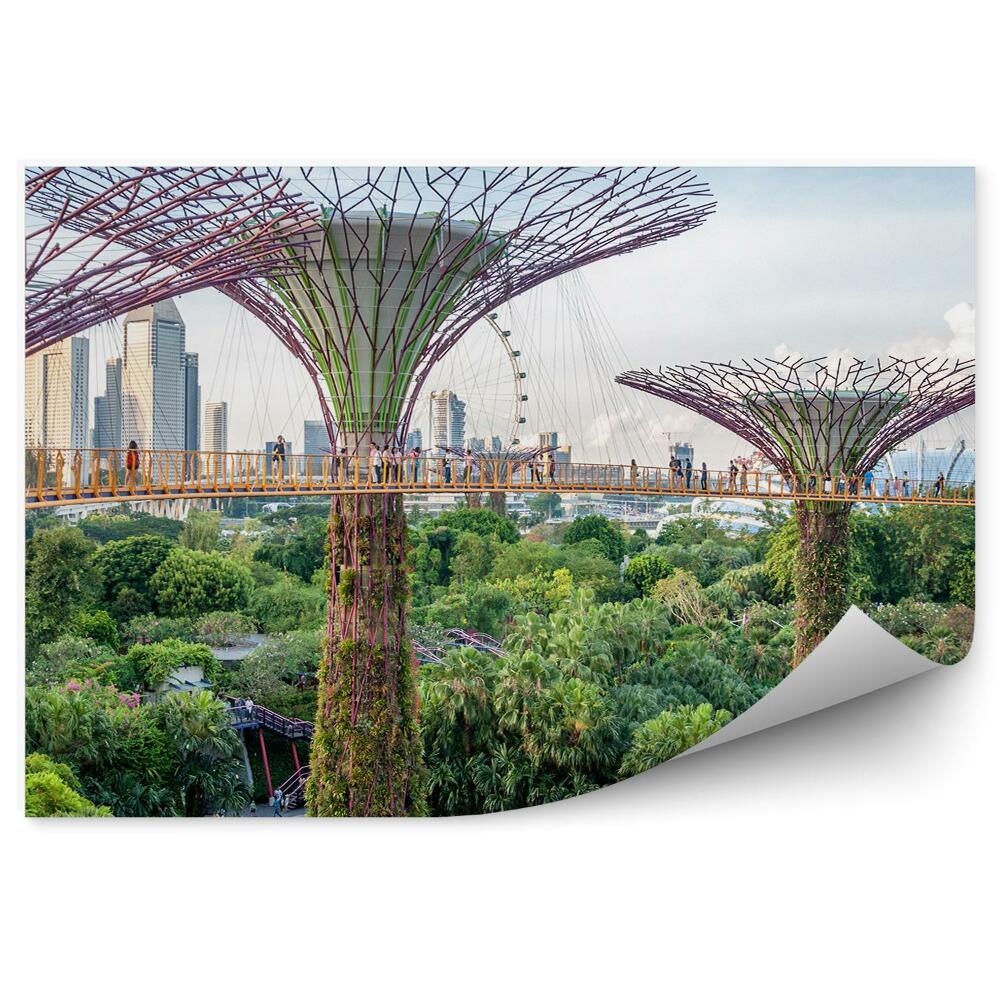 Fototapeta Singapur rośliny park architektura