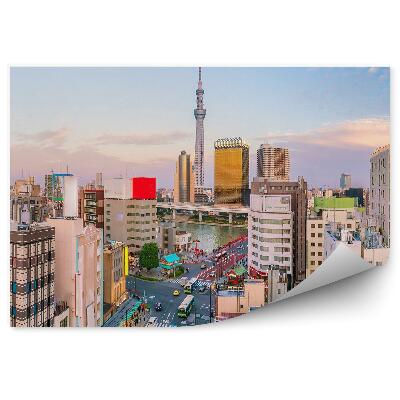 Okleina na ścianę wieżowce budynki droga transport niebo chmury Tokio Japonia