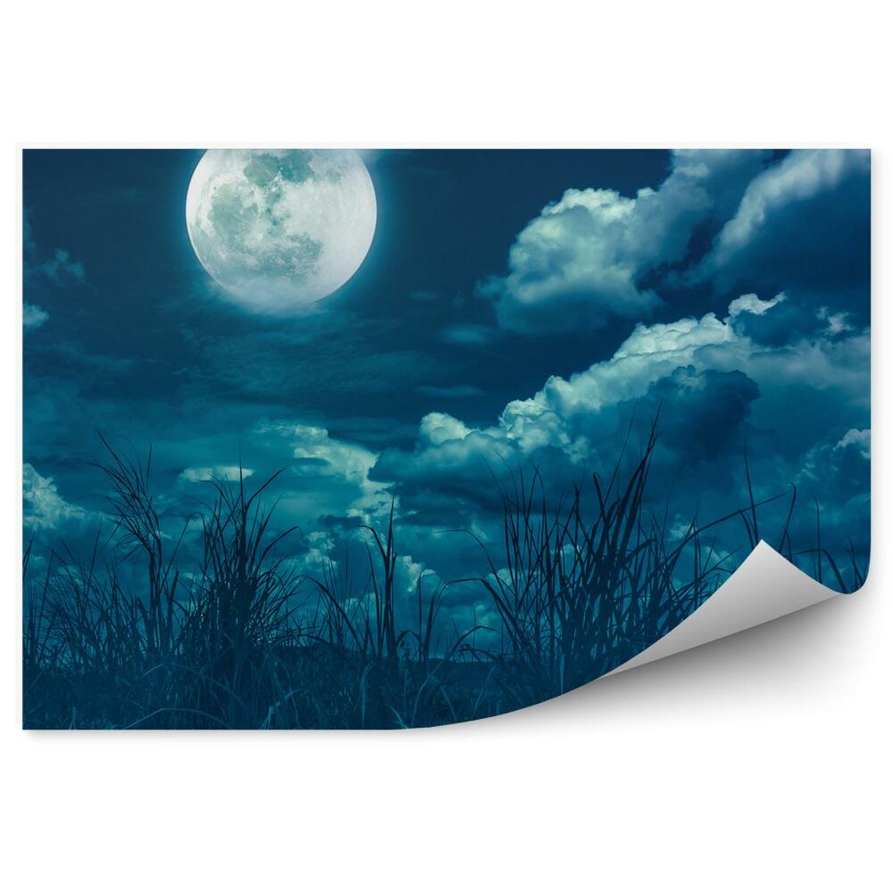Fototapeta Trawa księżyc mrok chmury