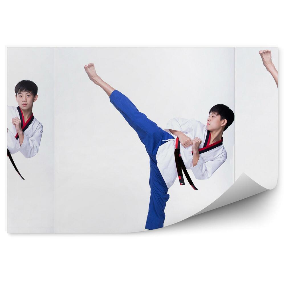 Fototapeta samoprzylepna Kolaż karate nastolatek