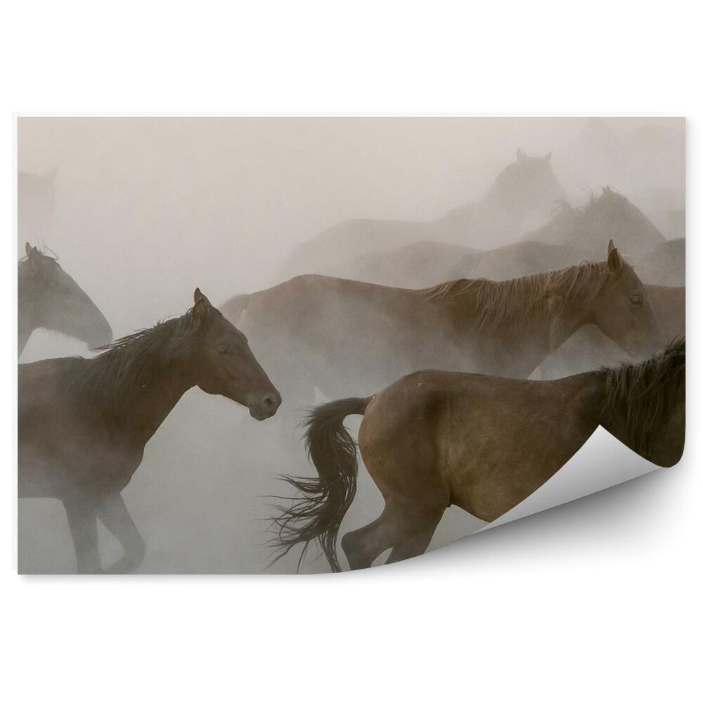 Fototapeta Stado brązowych koni dym mgła