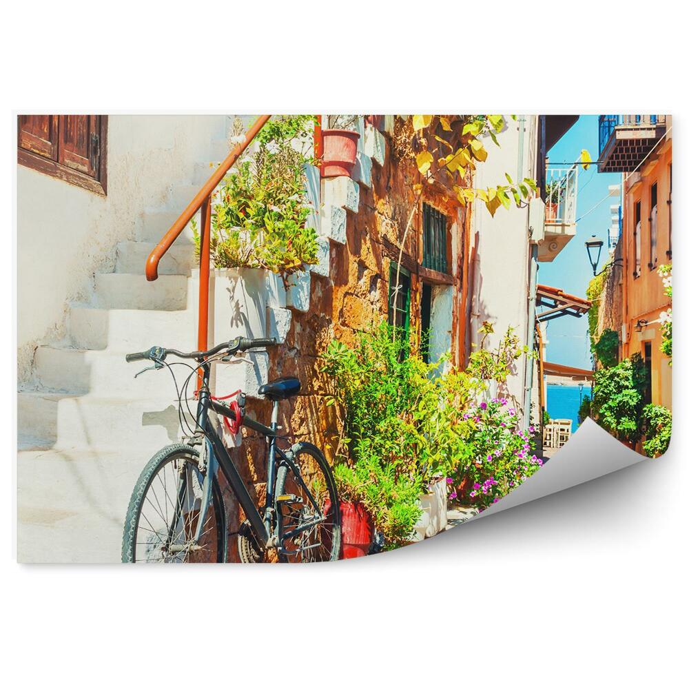 Fototapeta Alejka rower schody budynki kolory rośliny