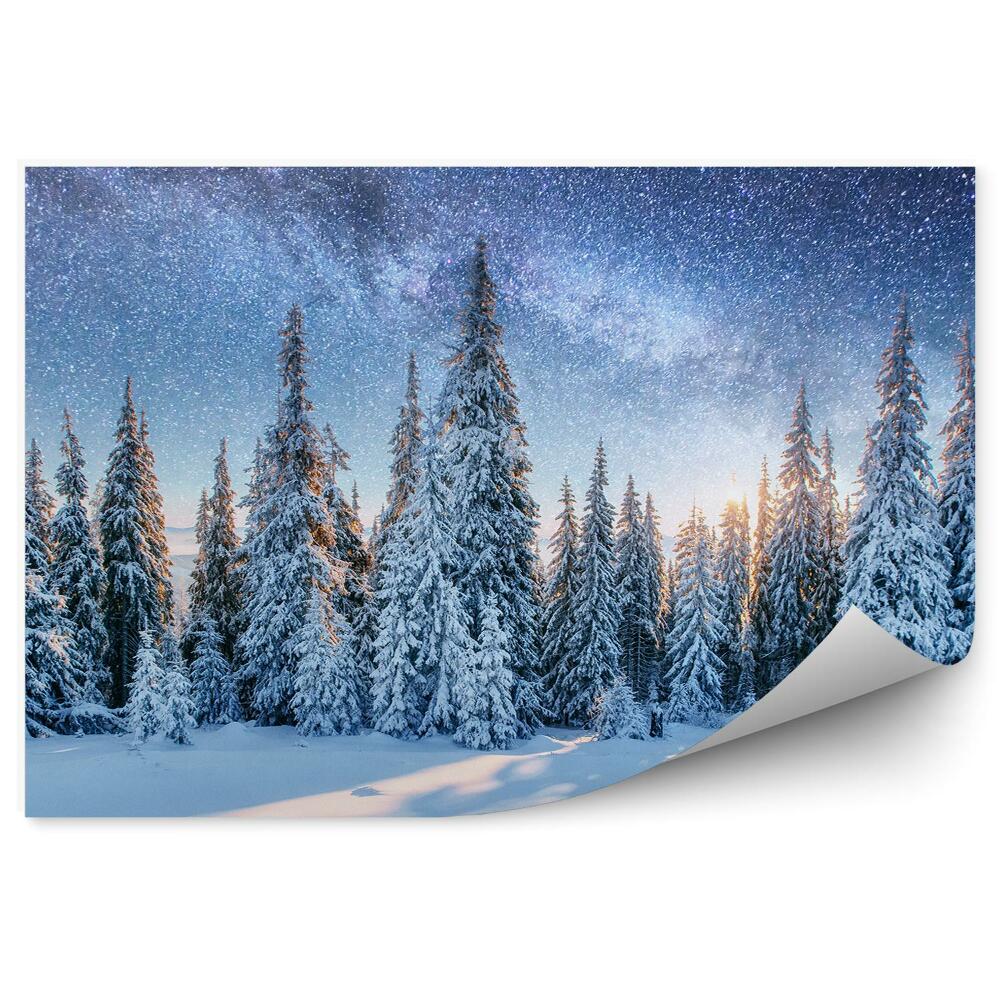 Fototapeta Zimowy las niebo gwiazdy
