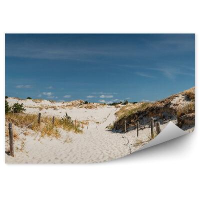 Okleina na ścianę Ścieżka piasek słupki trawa