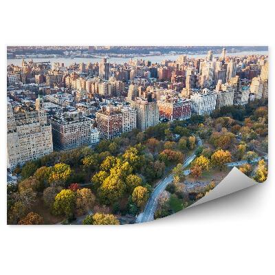 Fototapeta wieżowce droga las drzewa rzeka Nowy Jork