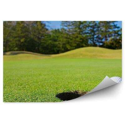 Fototapeta samoprzylepna Dołek piłka golfowa niebo drzewa iglaste