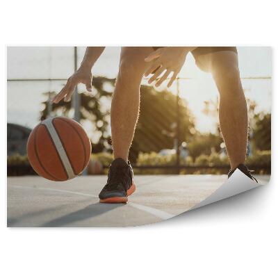 Fototapeta samoprzylepna Samochód piłka do koszykówki trawa boisko