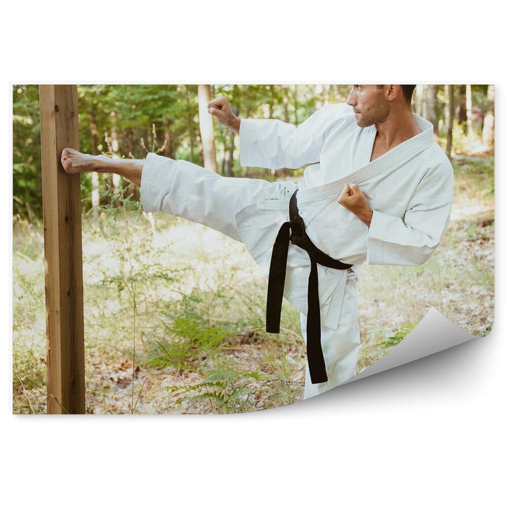 Fototapeta samoprzylepna Karate trening drzewo las ziemia