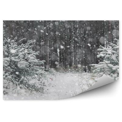 Fototapeta Zimowy las