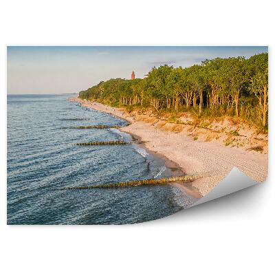 Okleina na ścianę Piasek las drzewa morze horyzont