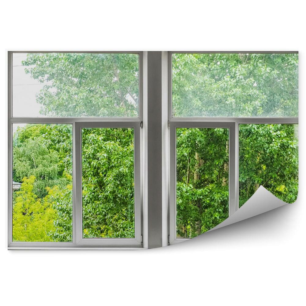 Fototapeta na ścianę Zieleń drzewa widok za oknem mieszkanie