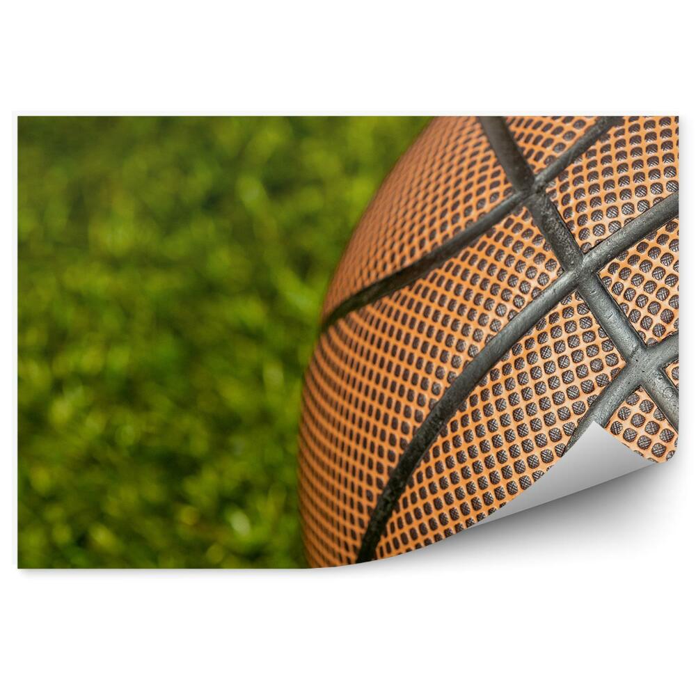 Fototapeta samoprzylepna Piłka do koszykówki trawa