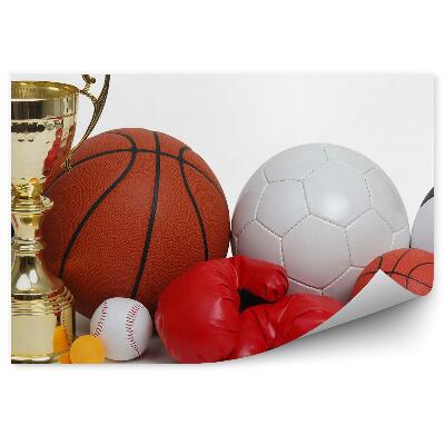 Fototapeta samoprzylepna Piłki sport rękawice lotka puchar