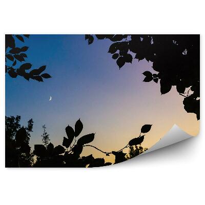 Okleina ścienna Zachód słońca liście