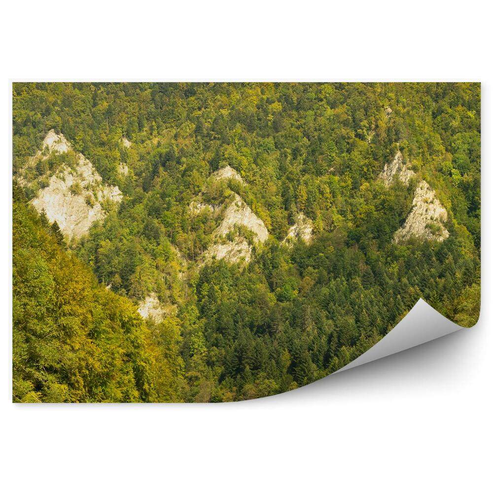 Okleina na ścianę Spływ dunajcem las góry pieniny