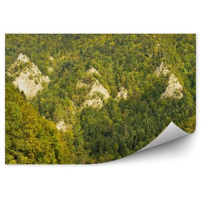 Okleina na ścianę Spływ dunajcem las góry pieniny