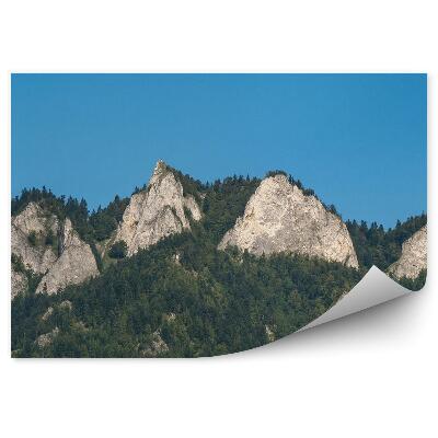 Okleina na ścianę Trzy korony pieniny widok na szczyt