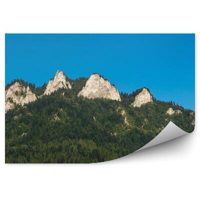 Okleina na ścianę Trzy korony w pieninach skały błękitne niebo