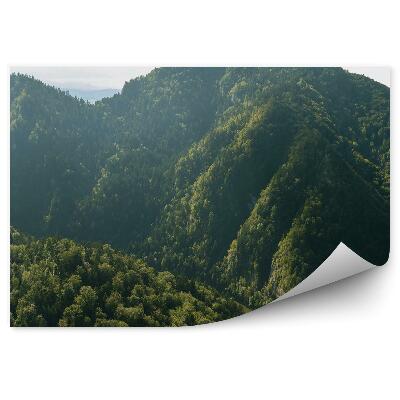 Okleina na ścianę Krajobraz w pieninach