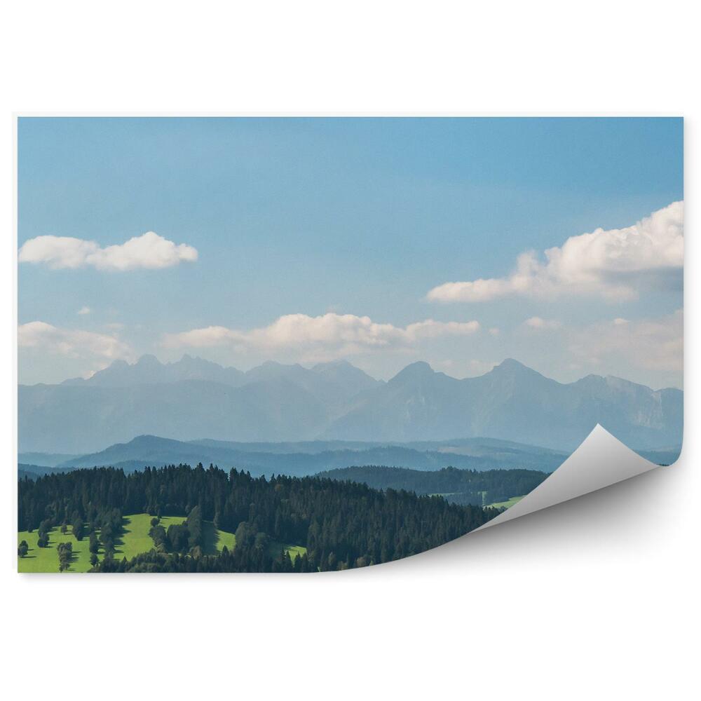 Okleina na ścianę Widok na tatry z pienin panorama górska