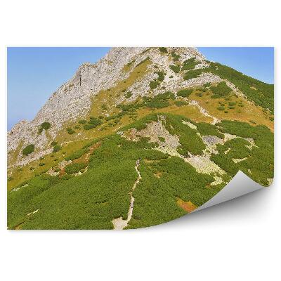 Okleina na ścianę Ludzie wspinaczka góra szczyt ścieżka