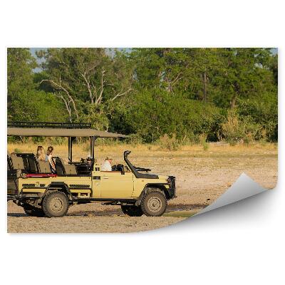 Okleina na ścianę Lwy u wodopoju samochód terenowy safari