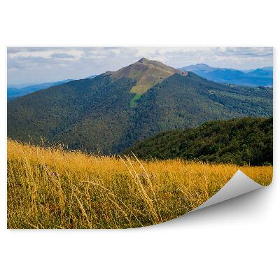 Okleina na ścianę Góry w bieszczadach polana roślinność zieleń