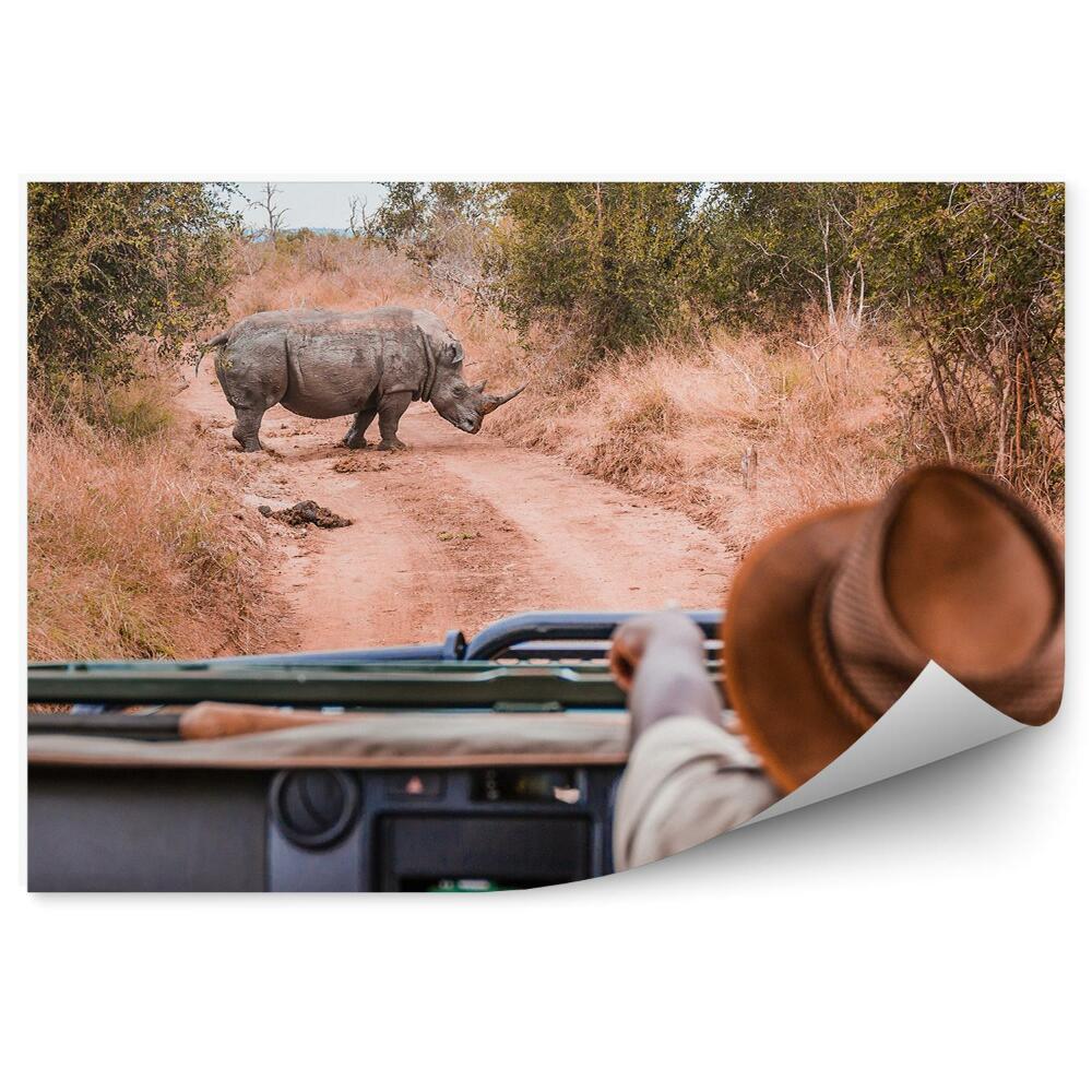 Okleina na ścianę Nosorożec na drodze safari widok z samochodu