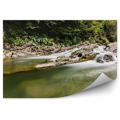 Okleina na ścianę Potok rzeka las skały górskie tereny