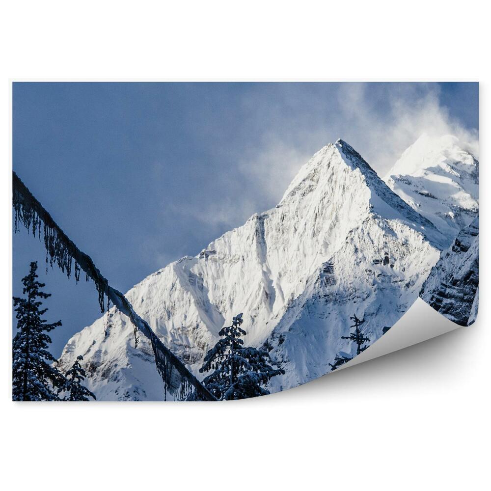 Okleina na ścianę Zima śnieg choinki natura góry himalaje