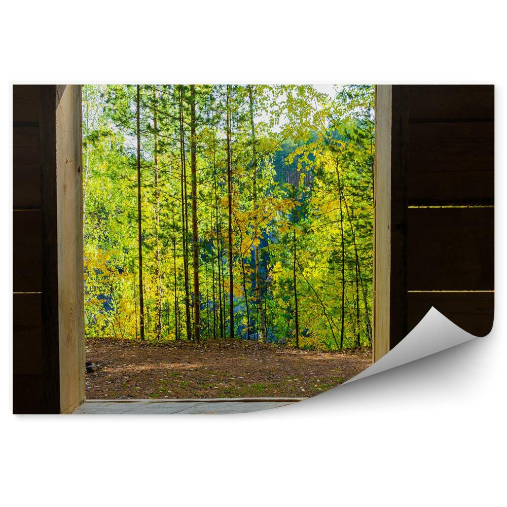 Fototapeta Drewniany domek w środku lasu drzewa zieleń
