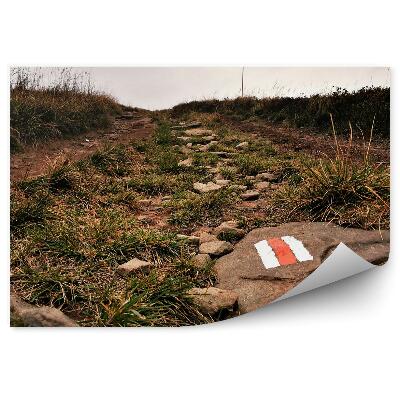 Okleina na ścianę Szlak górski trawy zieleń