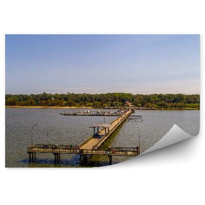 Okleina na ścianę Turystyka molo woda zielona roślinność