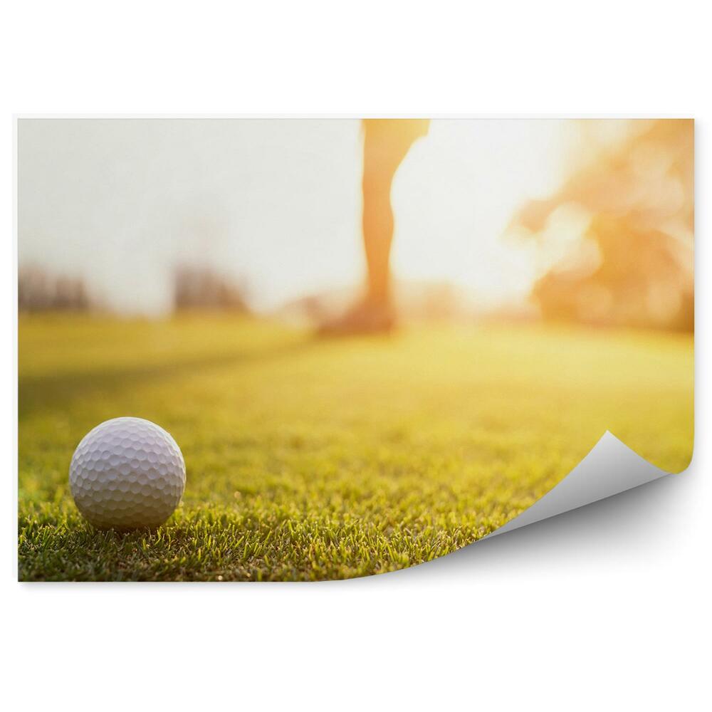 Fototapeta samoprzylepna Dołek piłka golfowa zachód słońca