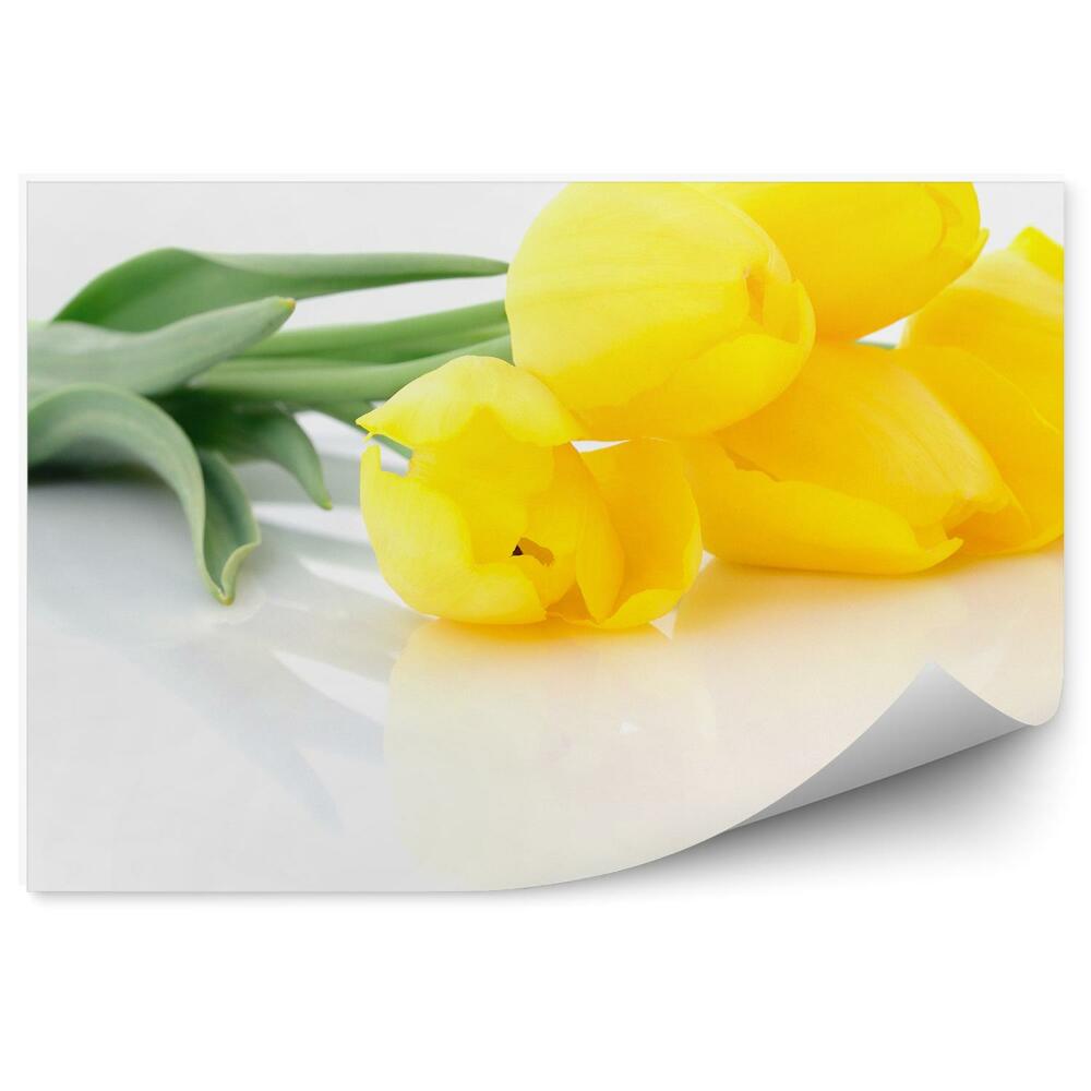Fototapeta na ścianę Pięć żółtych tulipanów kwiaty rośliny