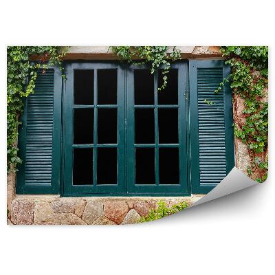 Okleina ścienna Okno mur cegła ściana bluszcz konary