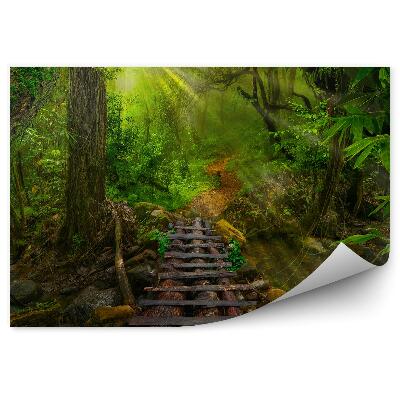 Okleina ścienna Azjatycka tropikalna dżungla drewniany pomost