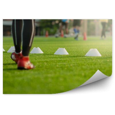 Fototapeta na ścianę Ćwiczenia na boisku piłka nożna