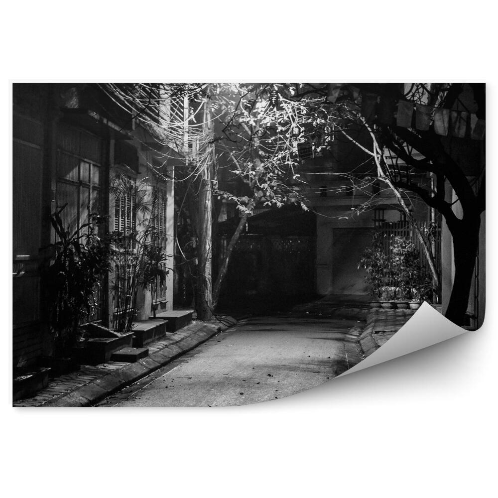 Fototapeta samoprzylepna Opuszczona ciemna uliczka czarno-białe zdjęcie