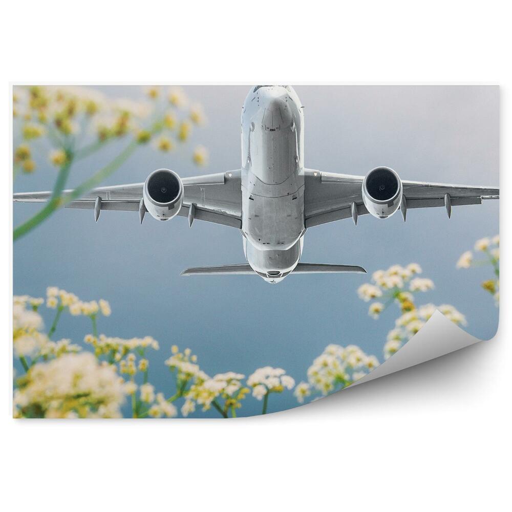 Fotopeta Samolot pasażerski nad kwiatami perspektywa