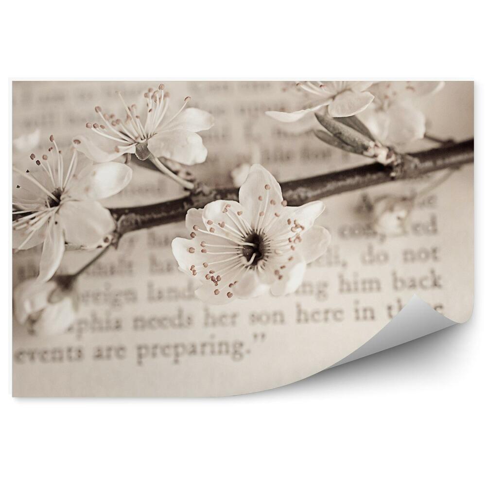 Okleina ścienna Białe kwiaty jabłoni gałąź tekst książka