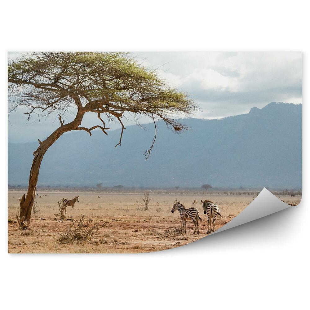 Okleina na ścianę zebry sawanna Afryka niebo góry