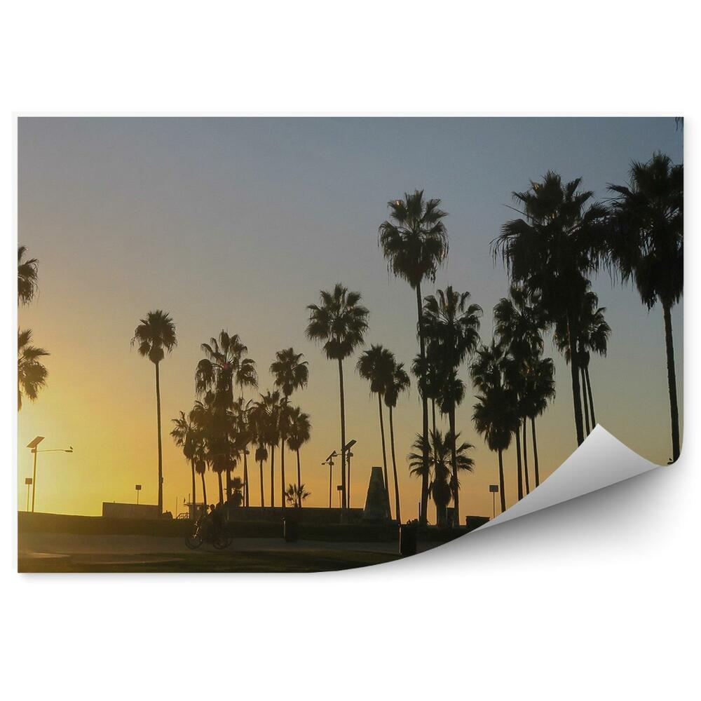 Fototapeta na ścianę palmy zachód słońca plaża Kalifornia
