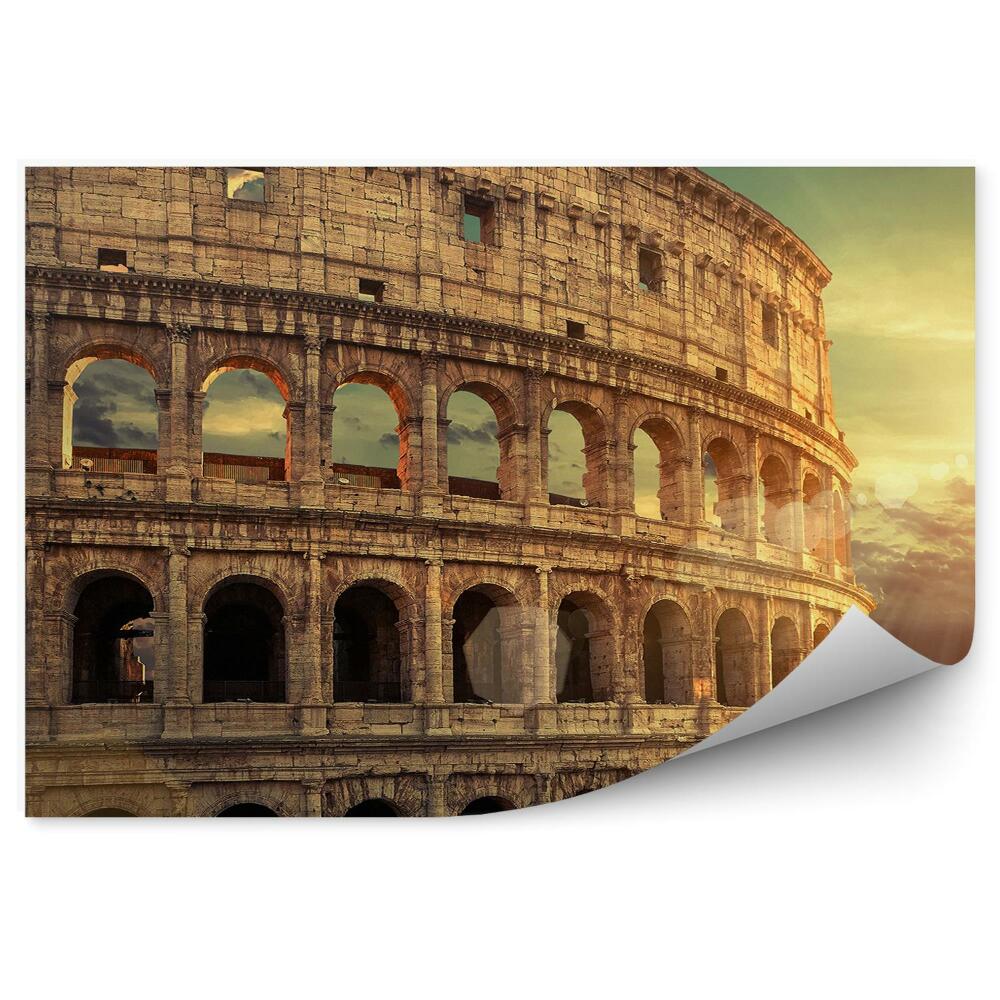 Fototapeta na ścianę ruiny Koloseum drzewa zachód słońca Rzym Włochy
