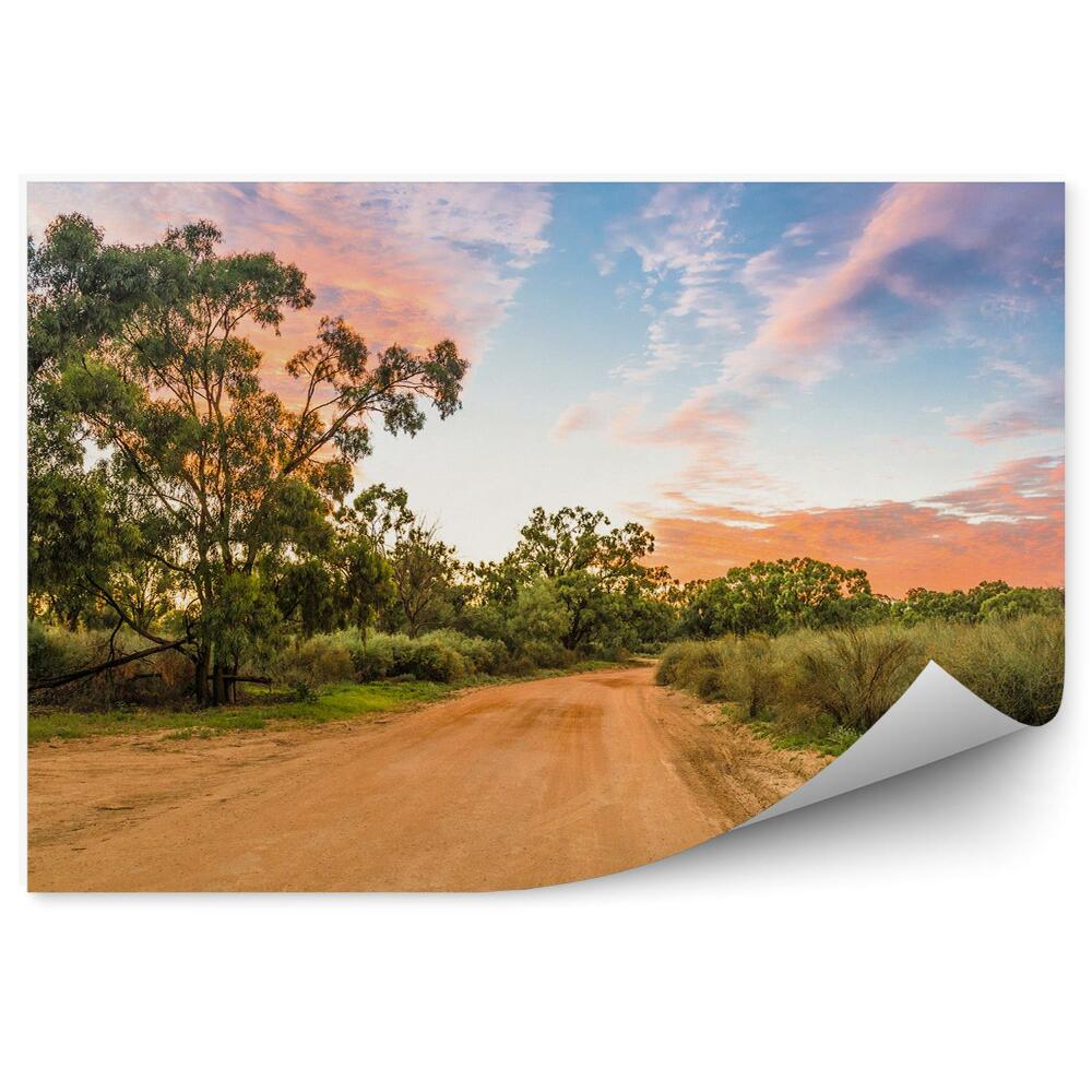 Fototapeta Australijski krajobraz drzewa rośliny niebo chmury